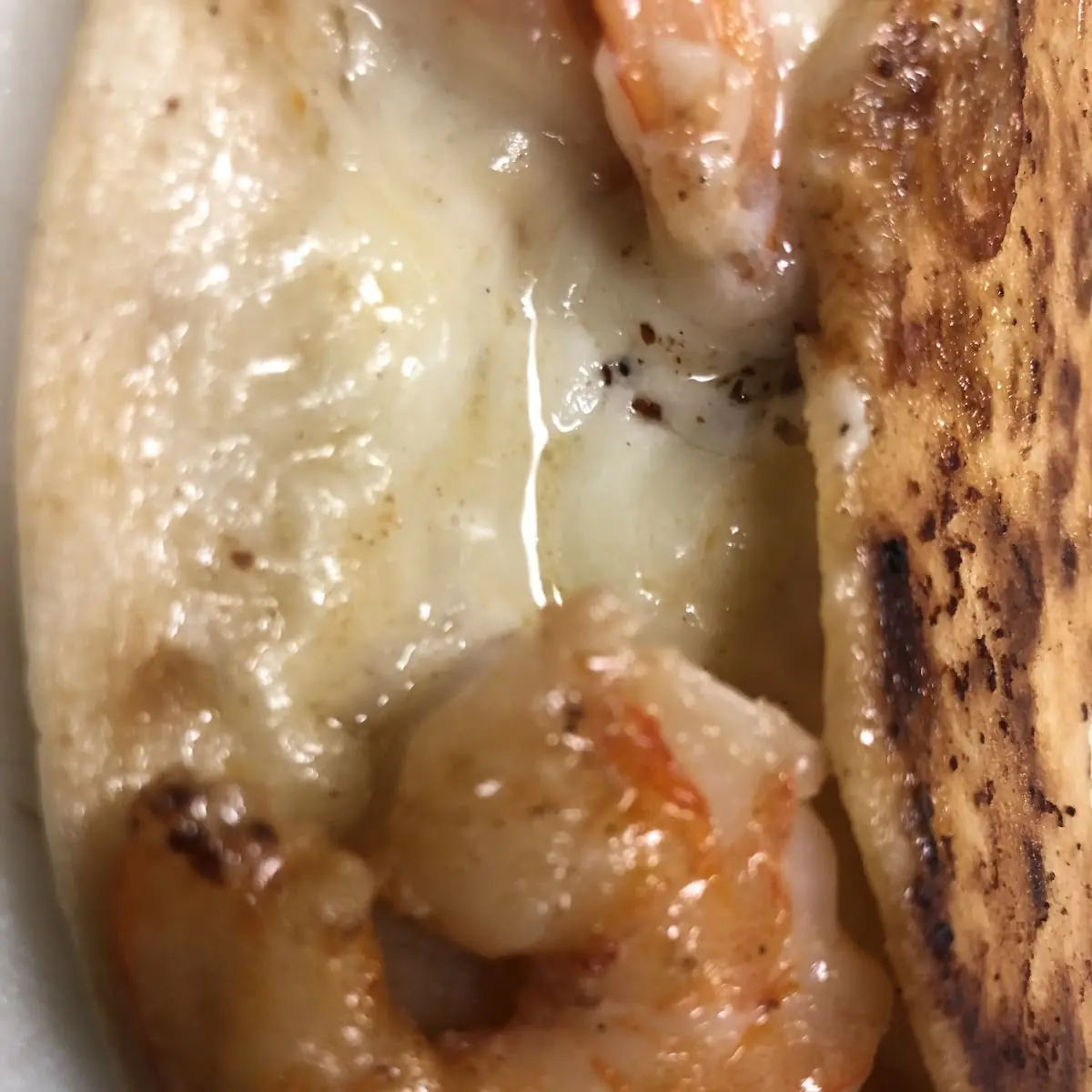 Shrimp Quesadilla Jalisco Express