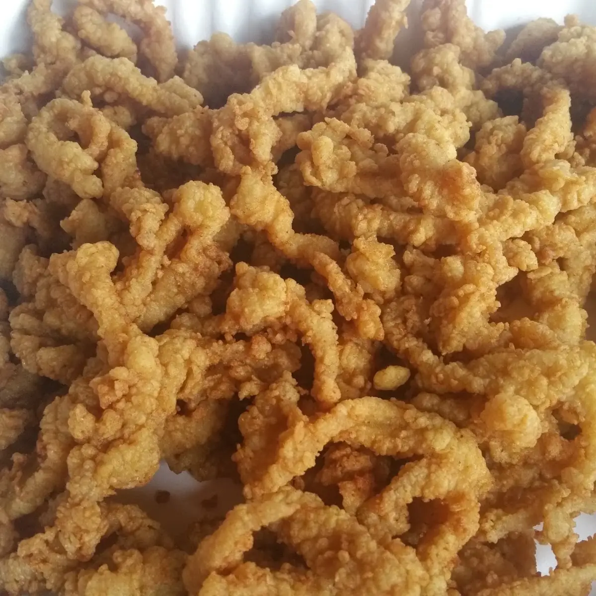 Fried Clam Strips