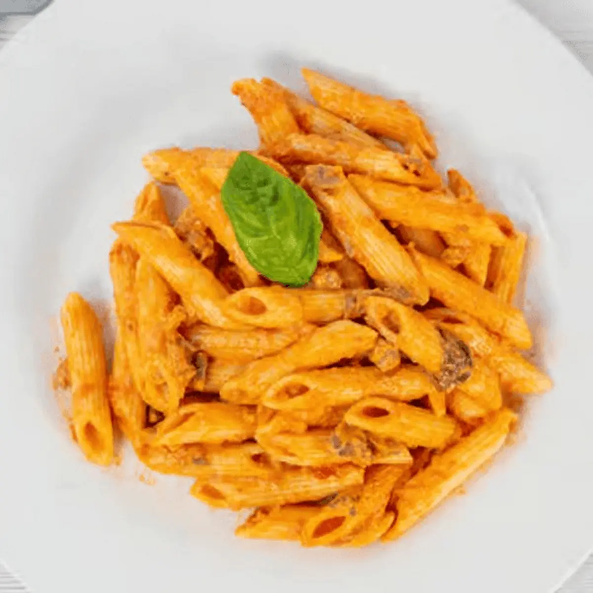 Penne Vodka 16 Oz