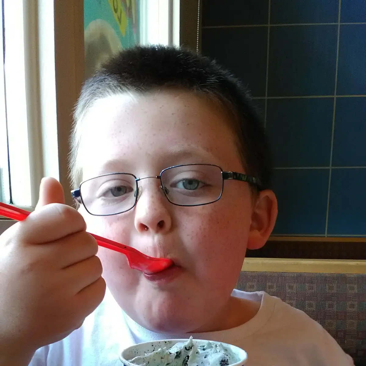 Mint Oreo Blizzard Treat
