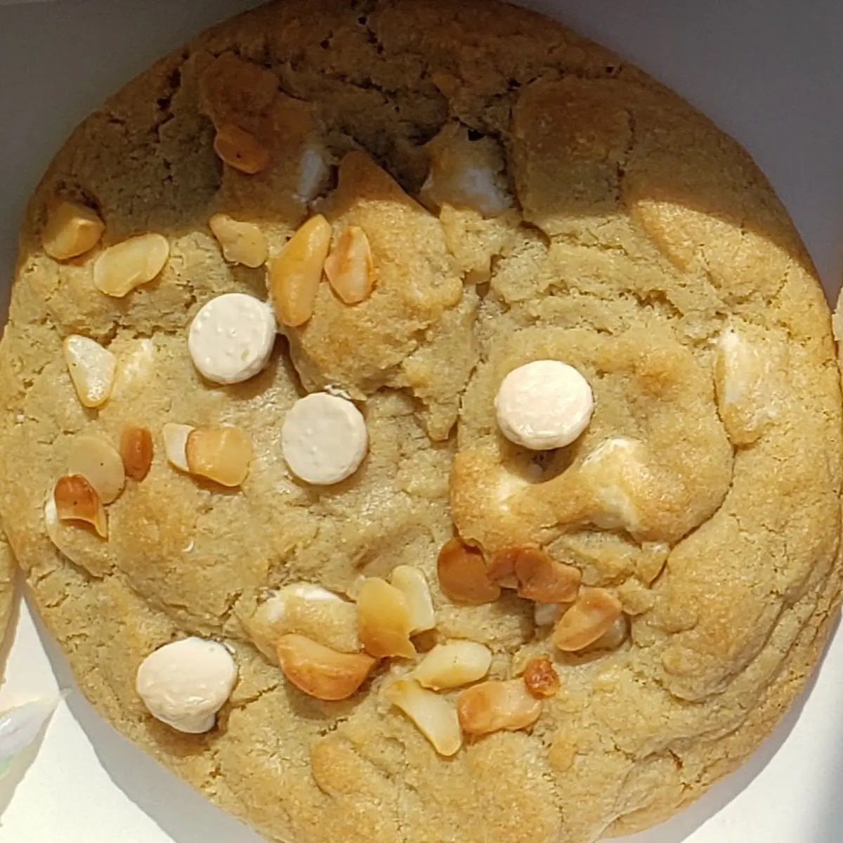 Roasted Macadamia and White Chocolate Cookie