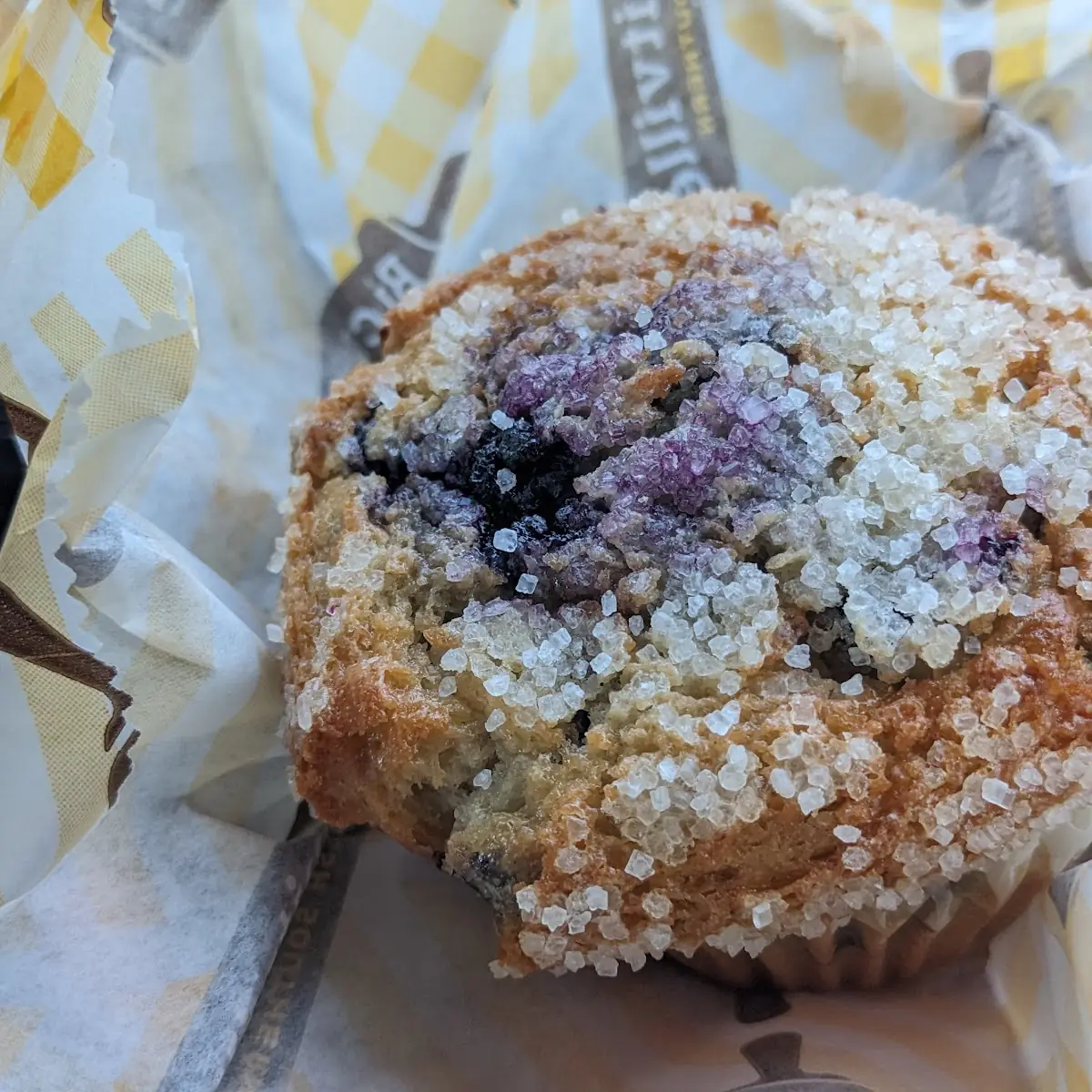 Blueberry Muffin