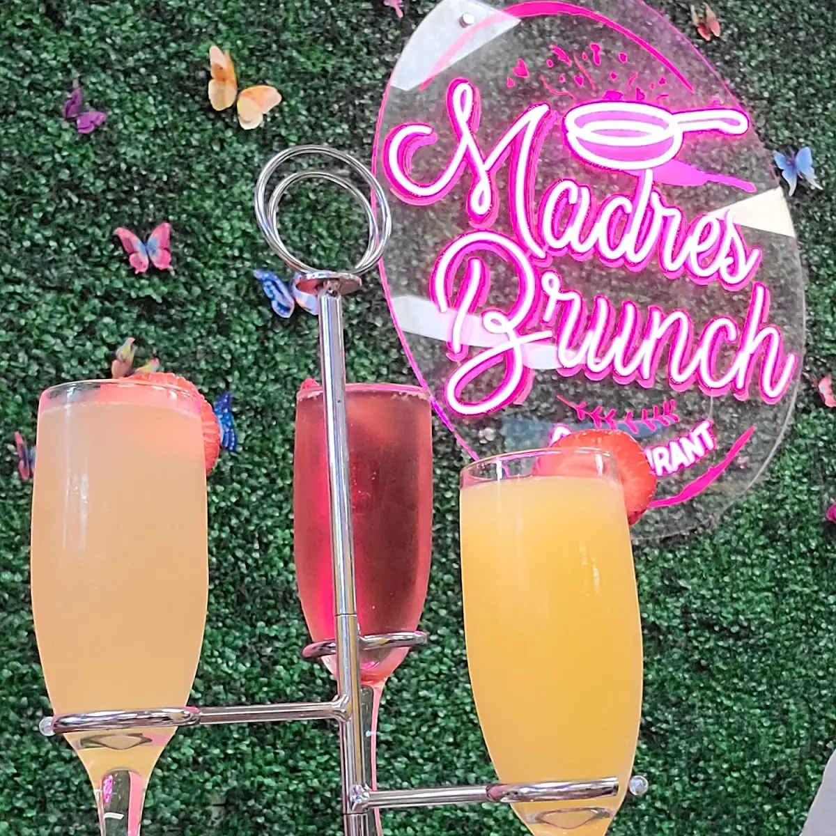Mimosas Flight