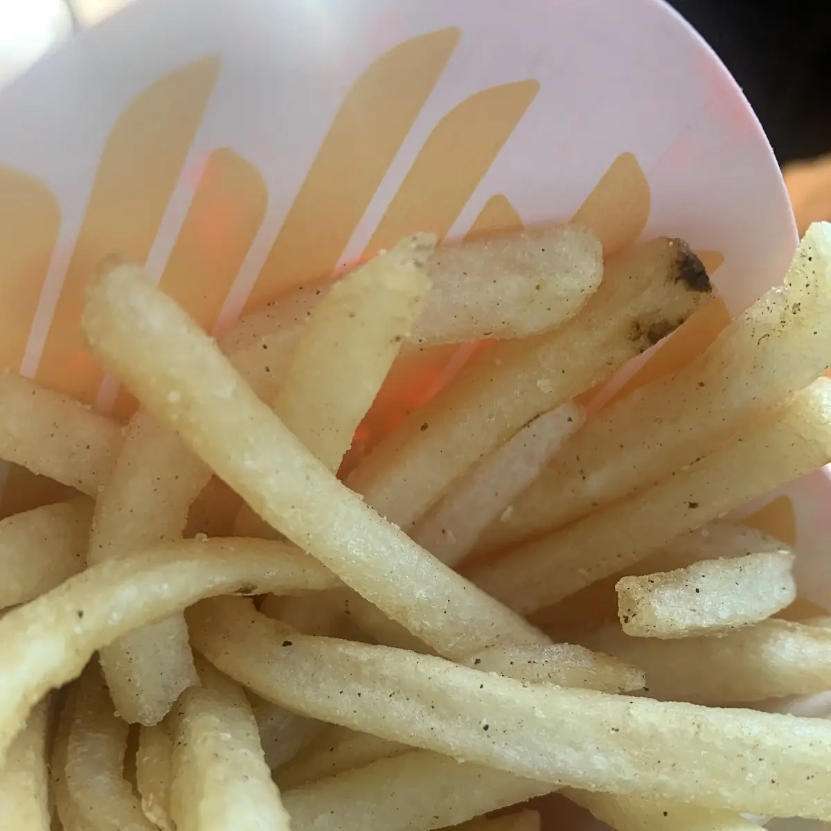 World Famous Fries