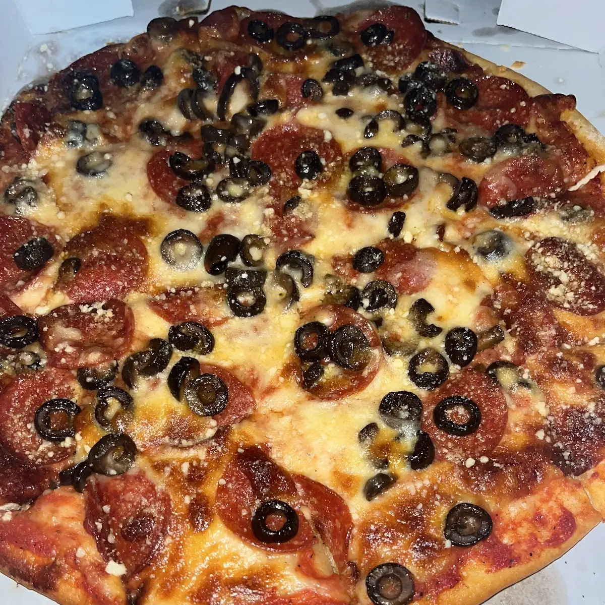 Pepperoni Black Olive Pizza