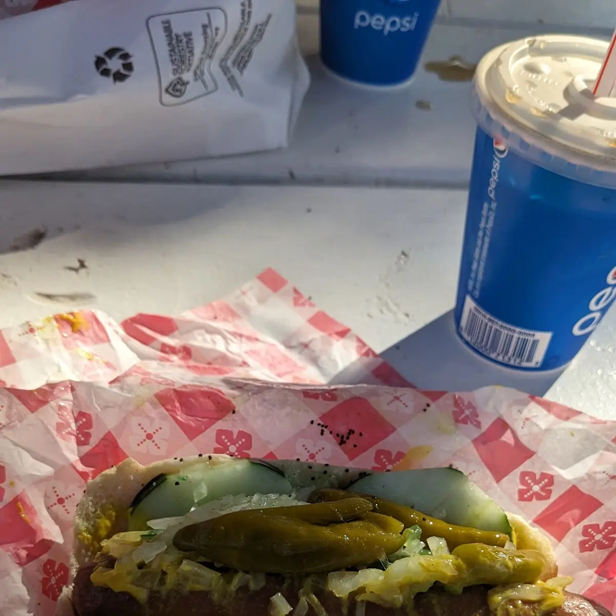 Chicago Dog