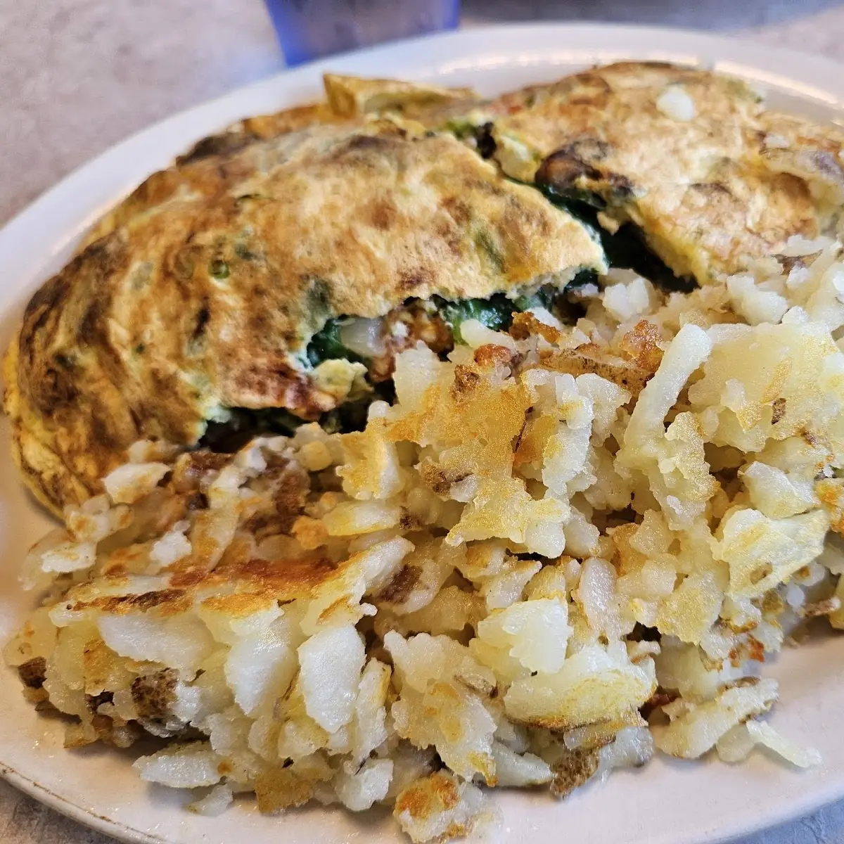 Garden Veggie Omelette