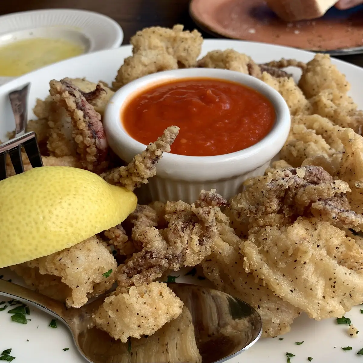 Fried Calamari