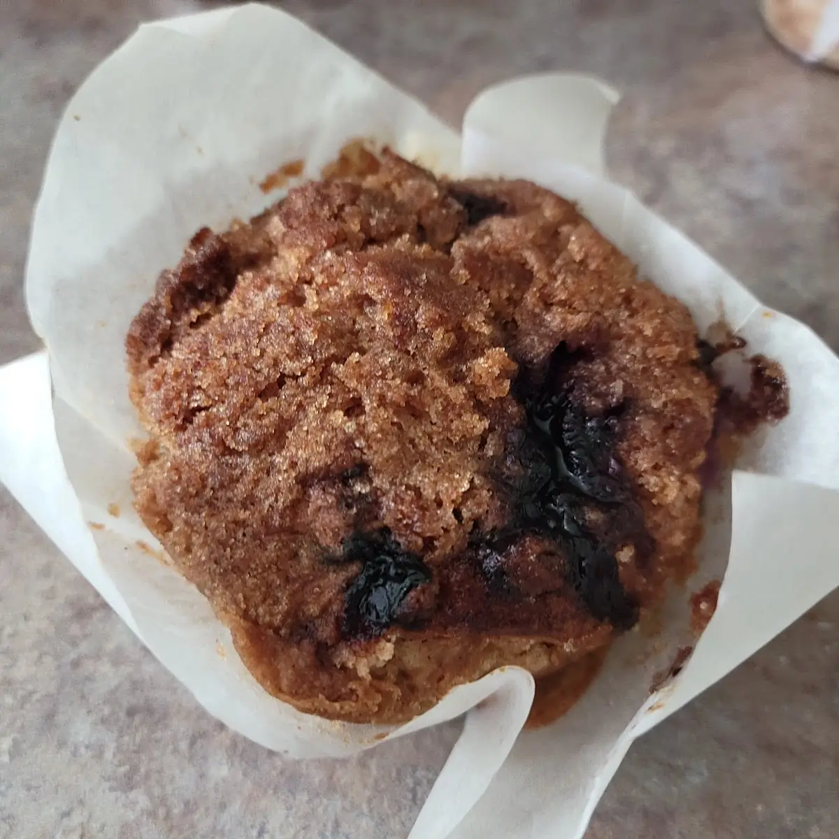 Blueberry Crumb Cupcake