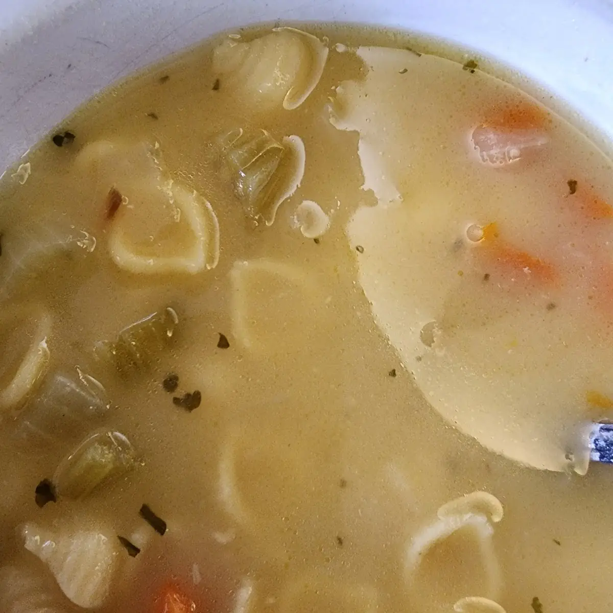 Chicken Noodle Soup
