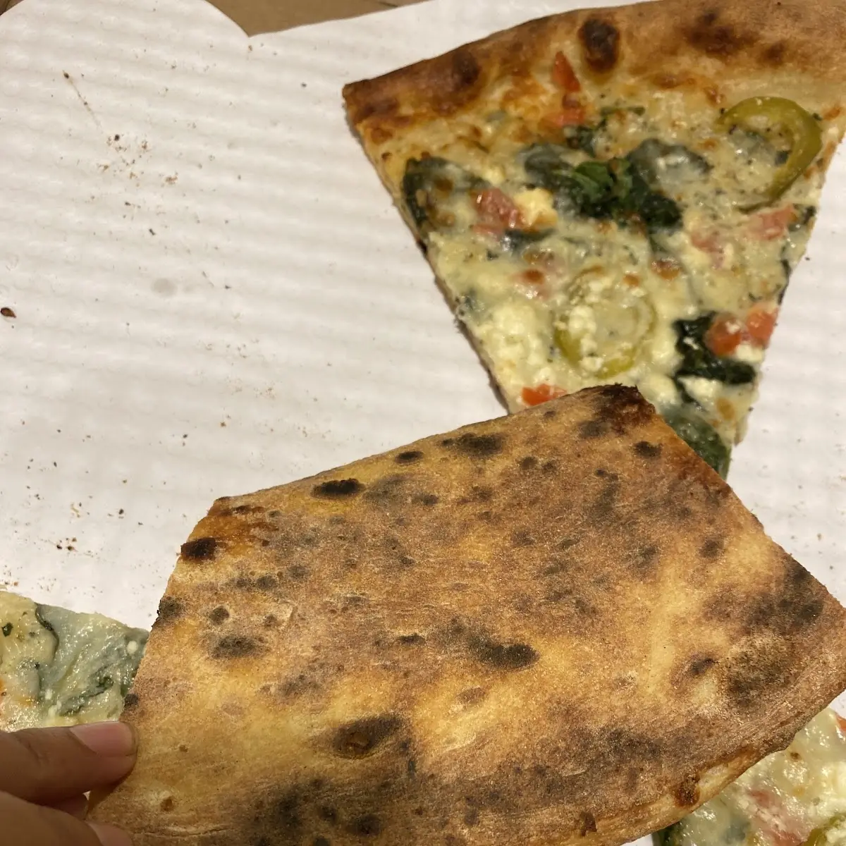 Pizza Crust