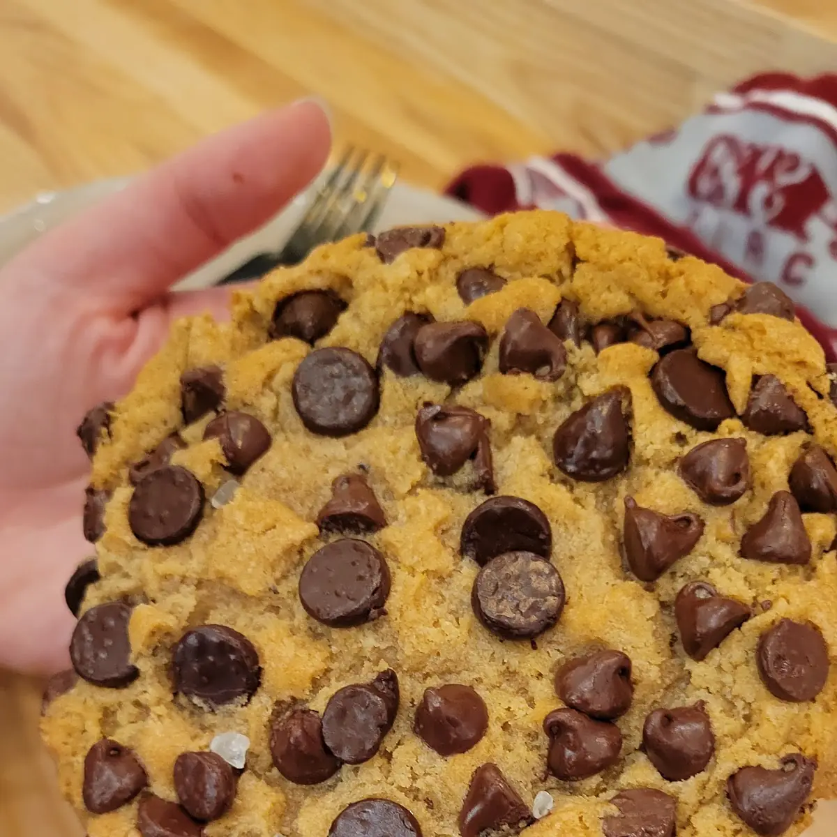Chocolate Chip Cookie