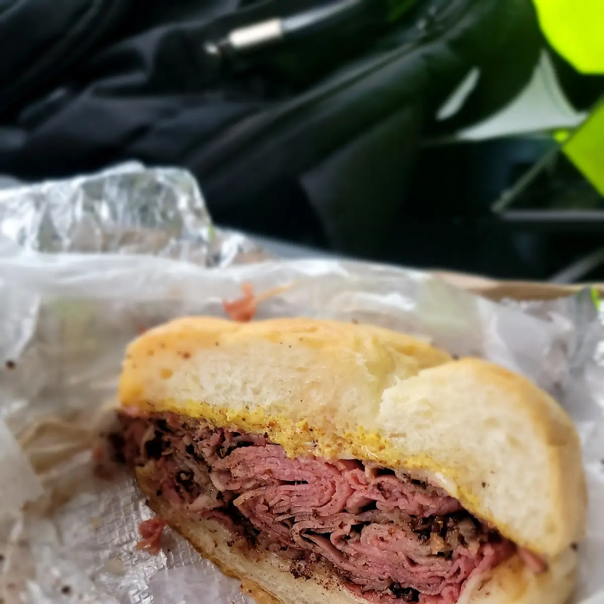 Pastrami Swiss Onion