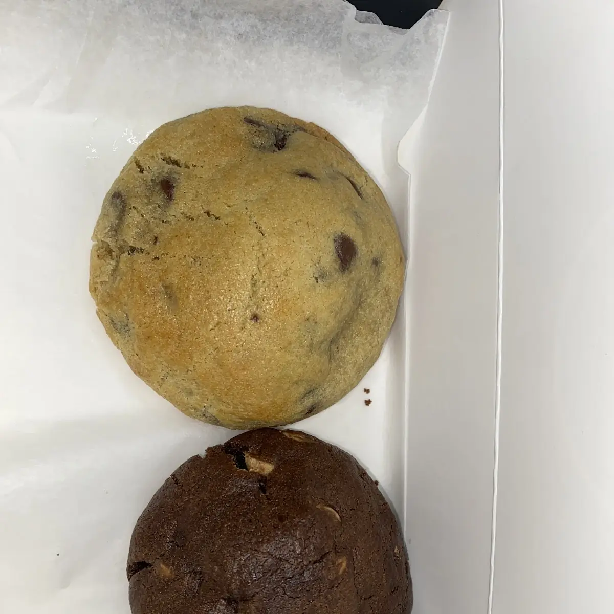 Chocolate Chip
