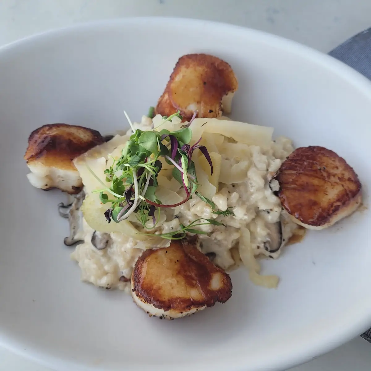 Sear Scallops w Mushroom Risotto