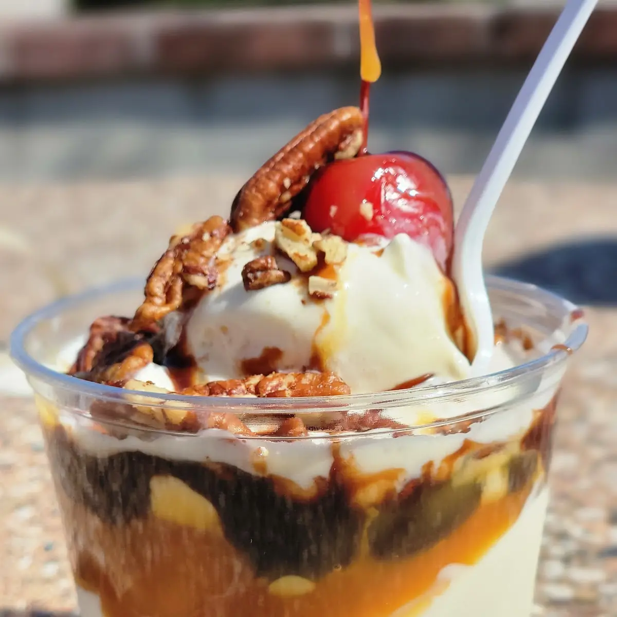 Turtle Sundae