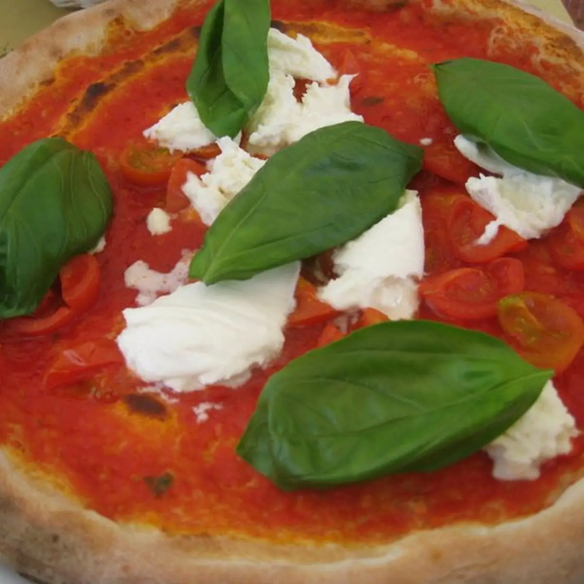 Margherita Pizza