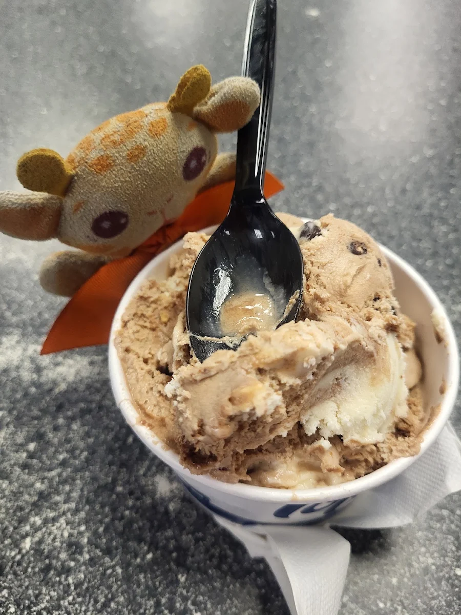 Gelato