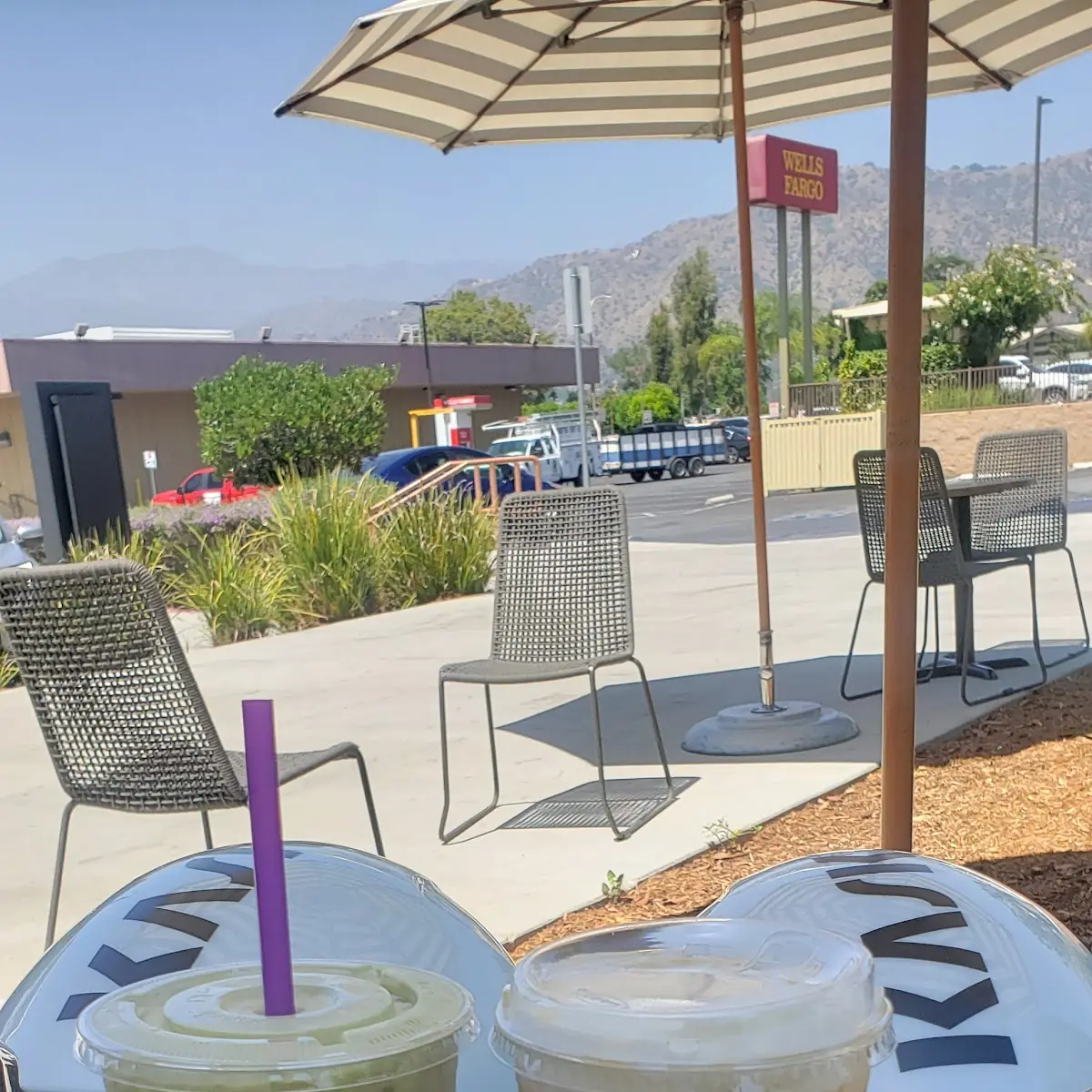 Iced Matcha Latte