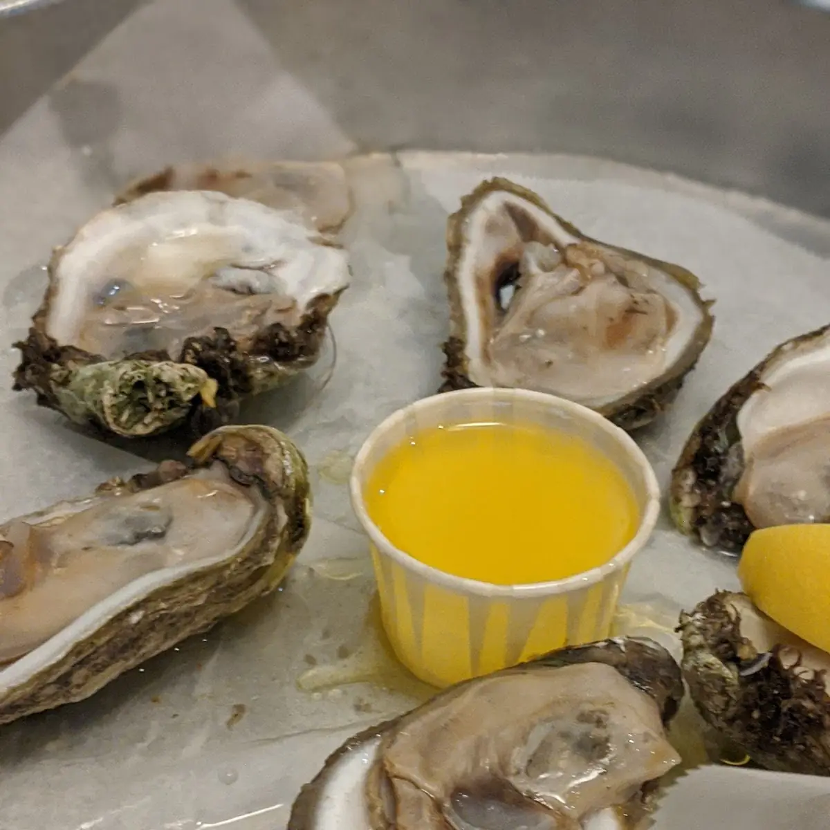 Raw Oysters on the Half Shell