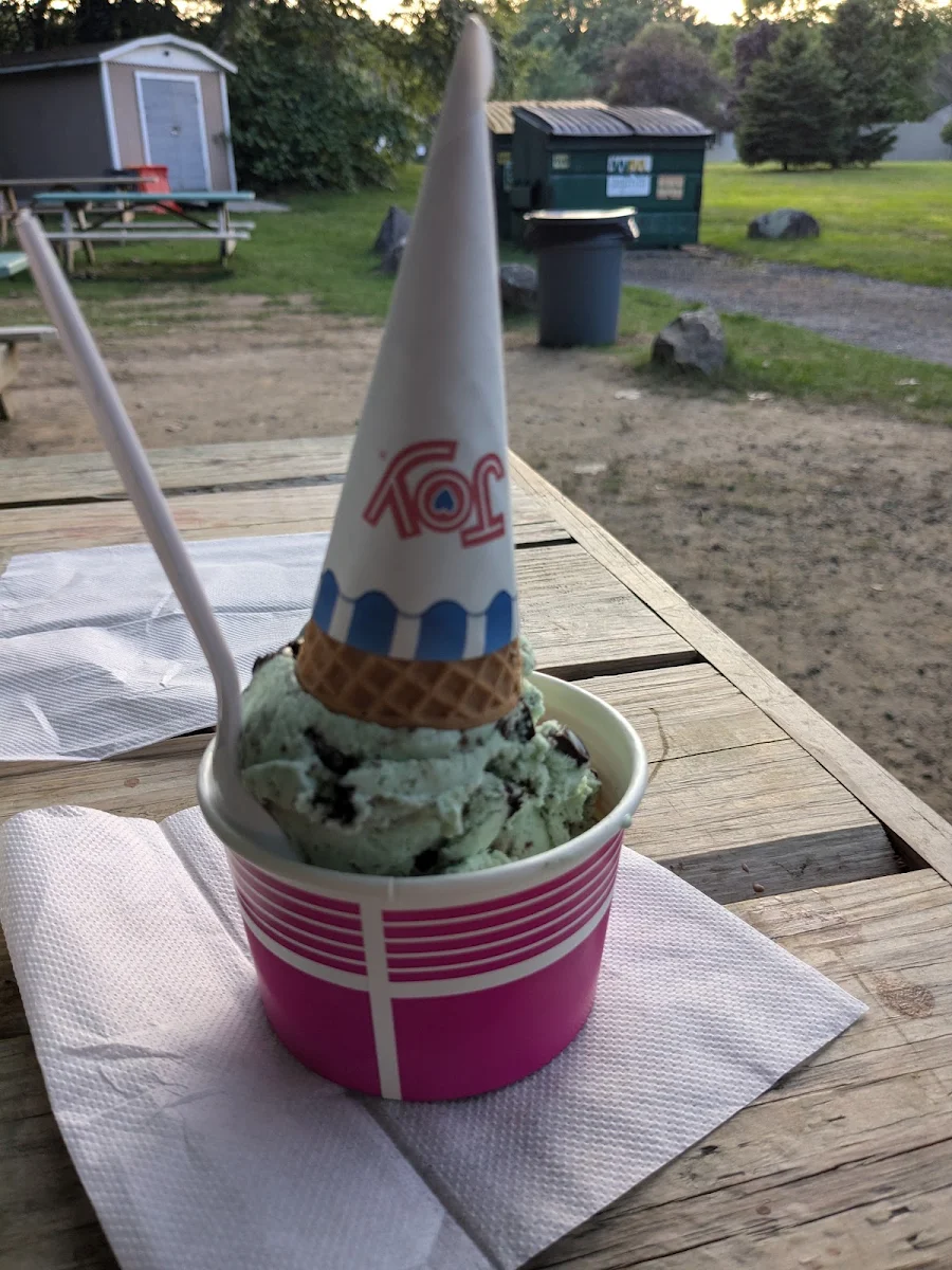 Mint Chip Oreo with Sugar Cone