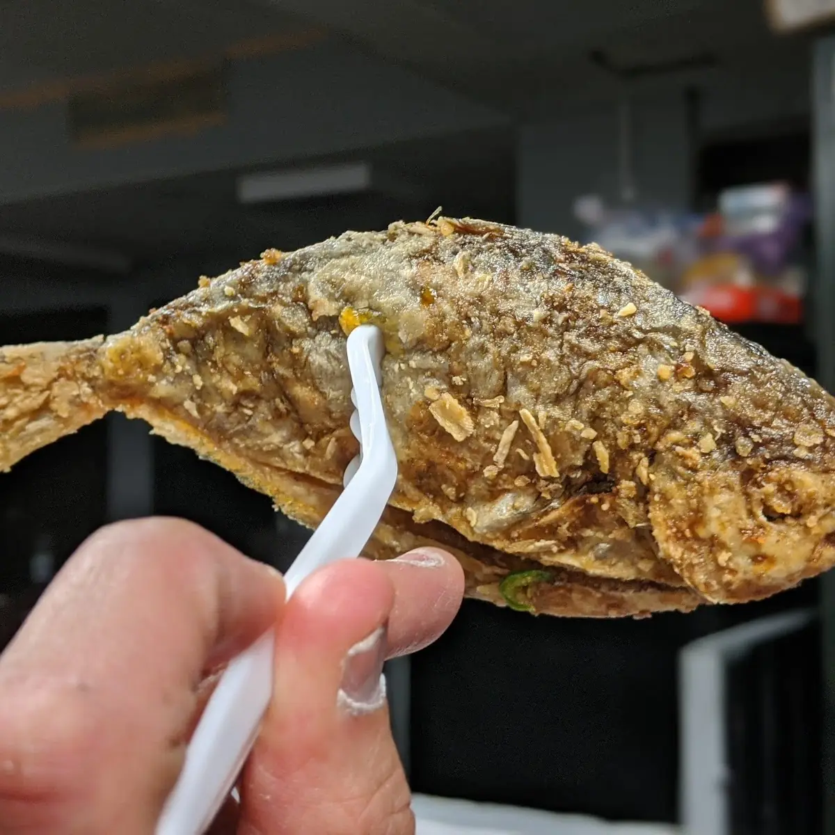 Fried Fish