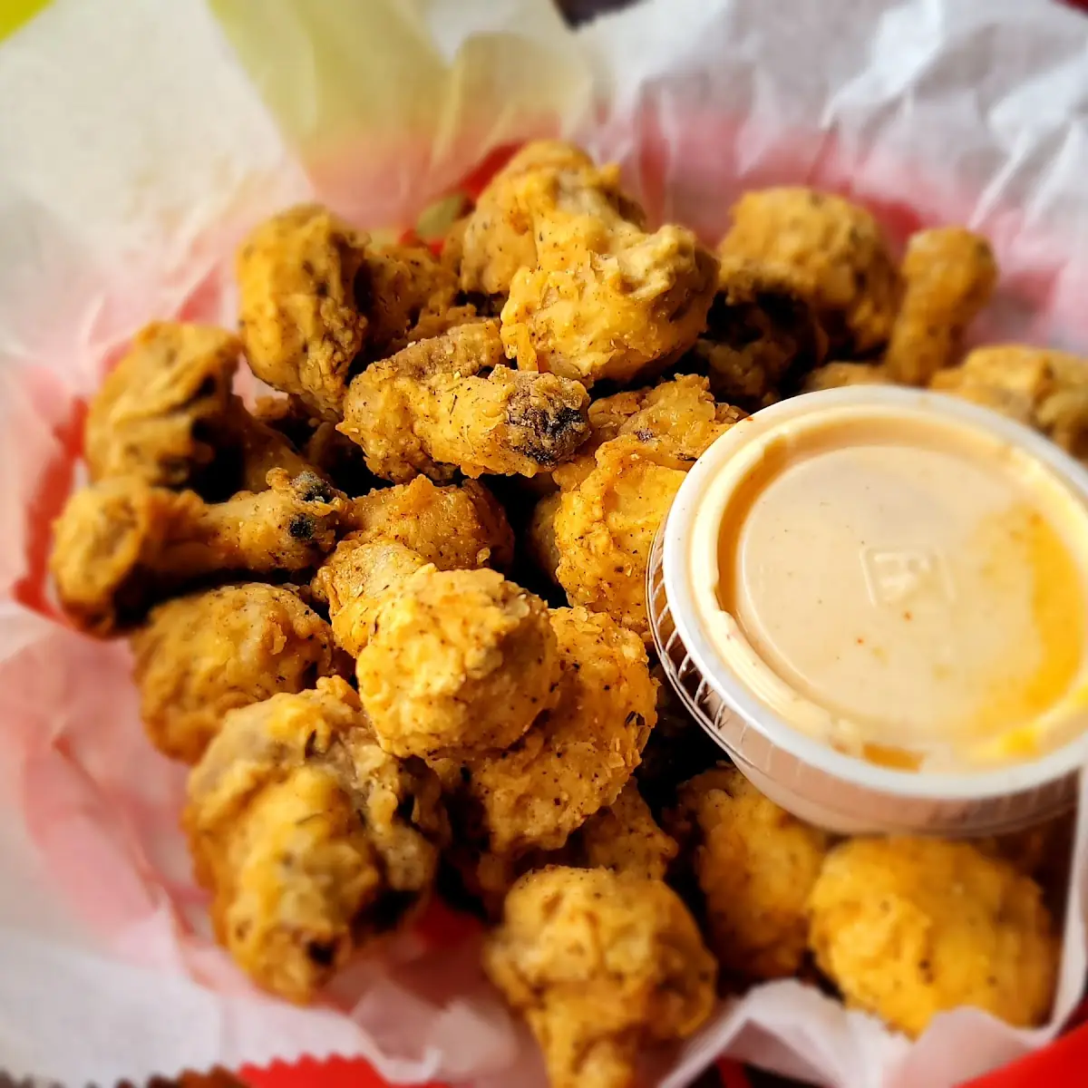 Fried Calamari