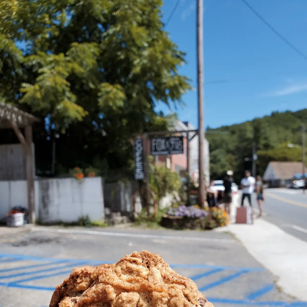 Chocolate Chip Oatmeal Cookie