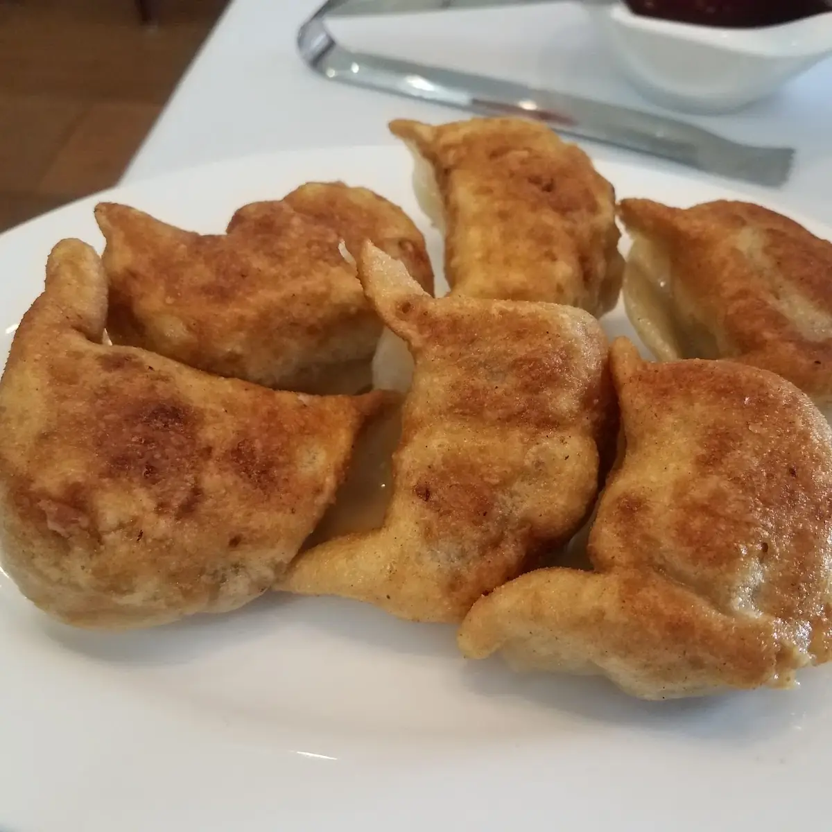 Fried Pork Dumplings