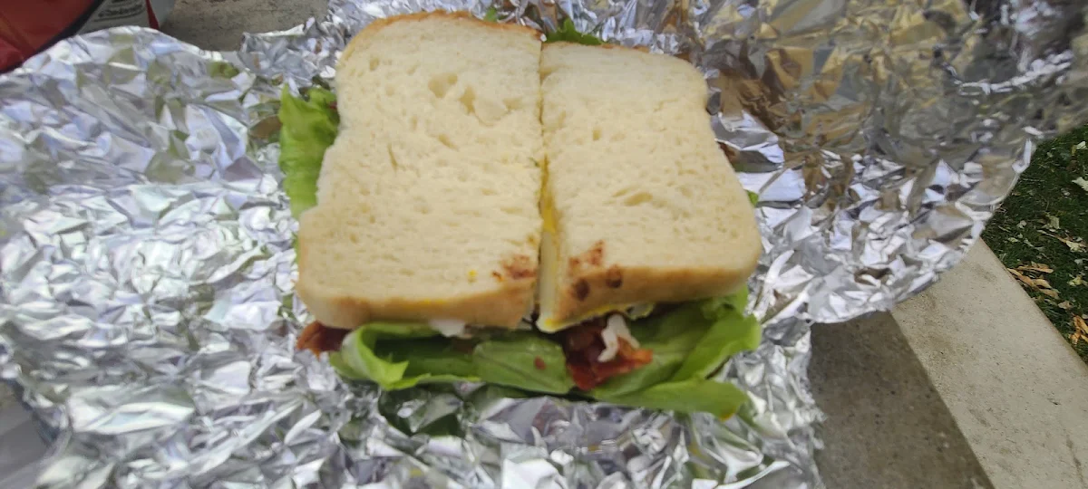 Turkey Bacon Sandwich