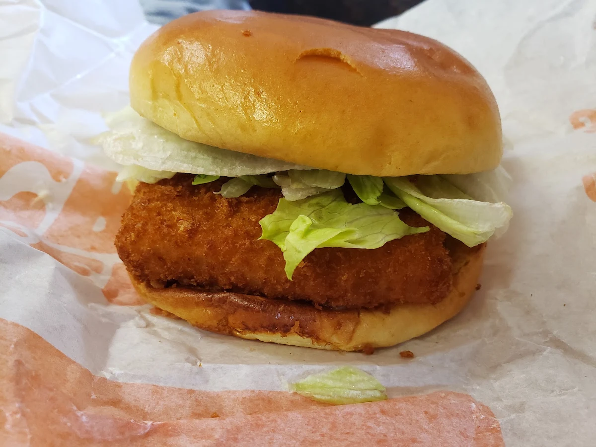 Fish Sandwich Combo