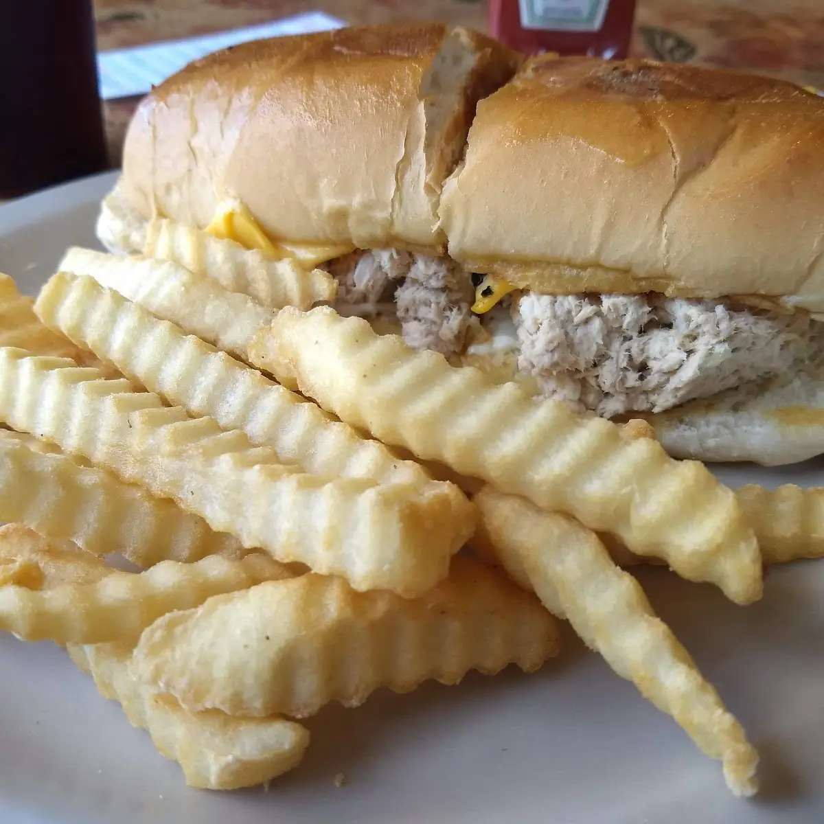 Tuna Melt with Fries