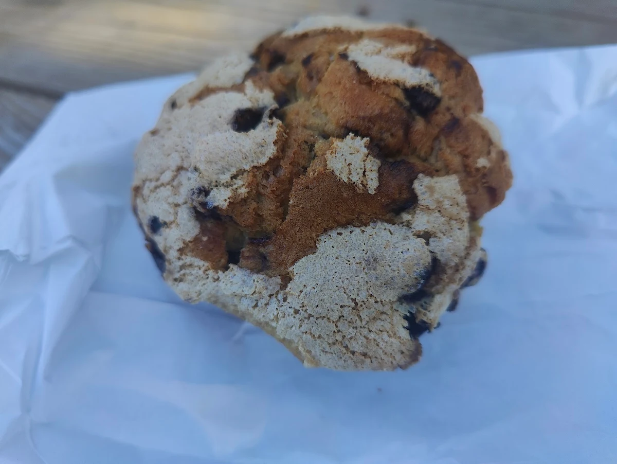 Chocolate Chip Muffin