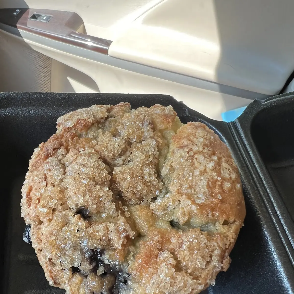 Gluten-Free Blueberry Muffin