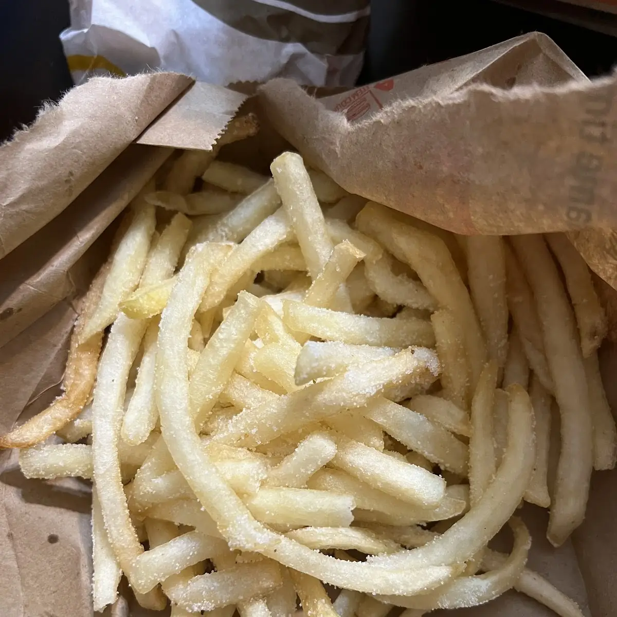 World Famous Fries