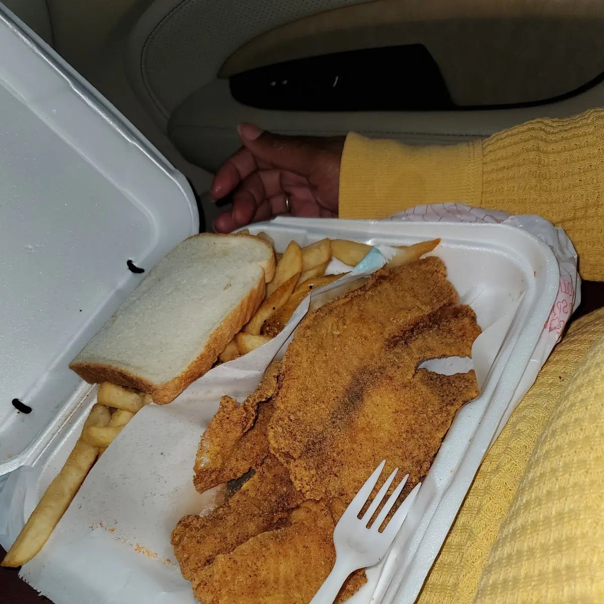 Fried Catfish with Wings