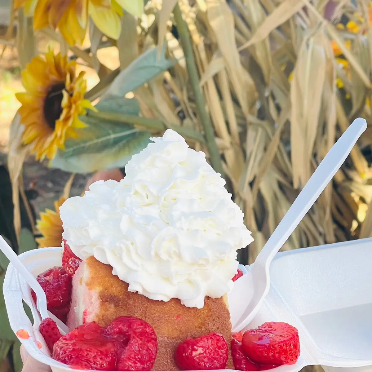 Home-Made Strawberry Shortcake
