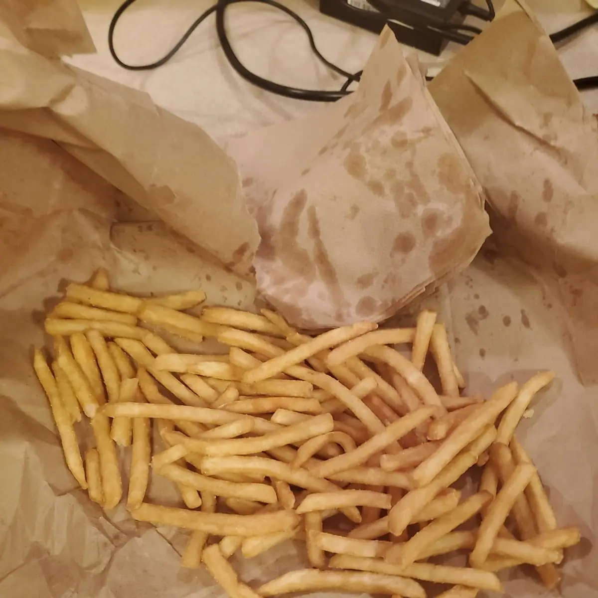 World Famous Fries