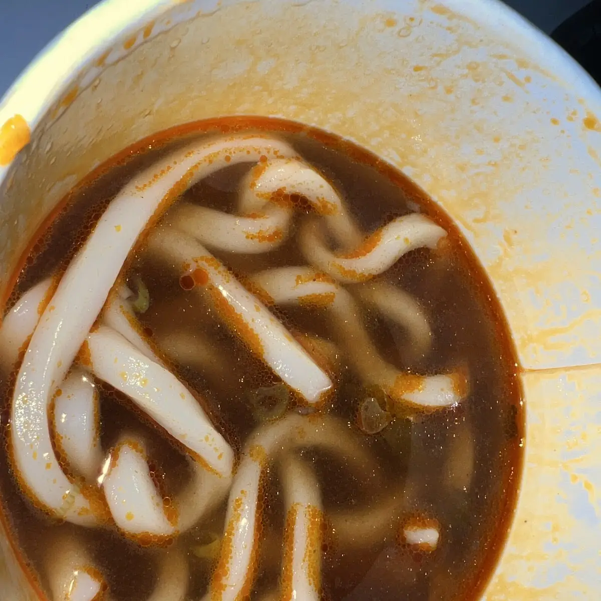 Udon Noodle Soup