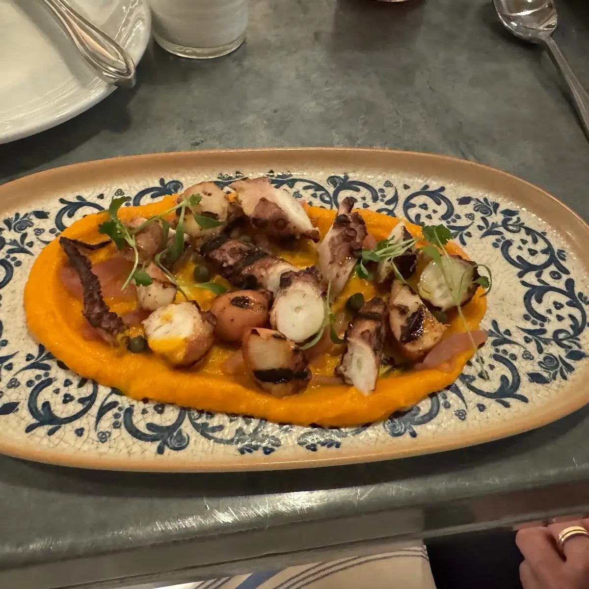 Grilled Octopus