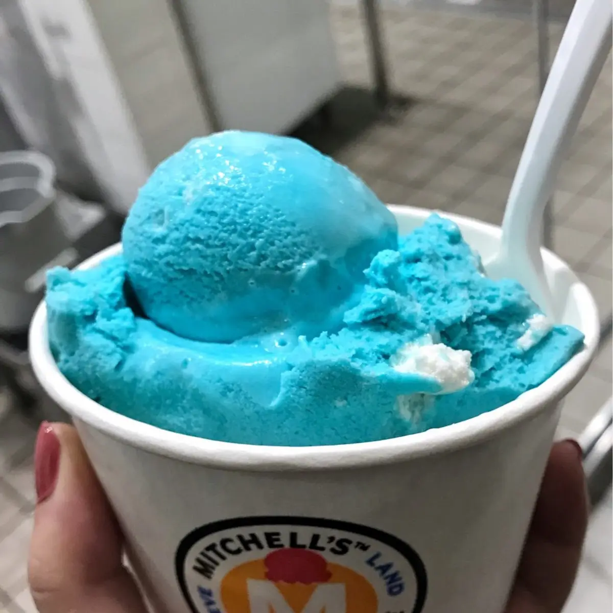 Cotton Candy