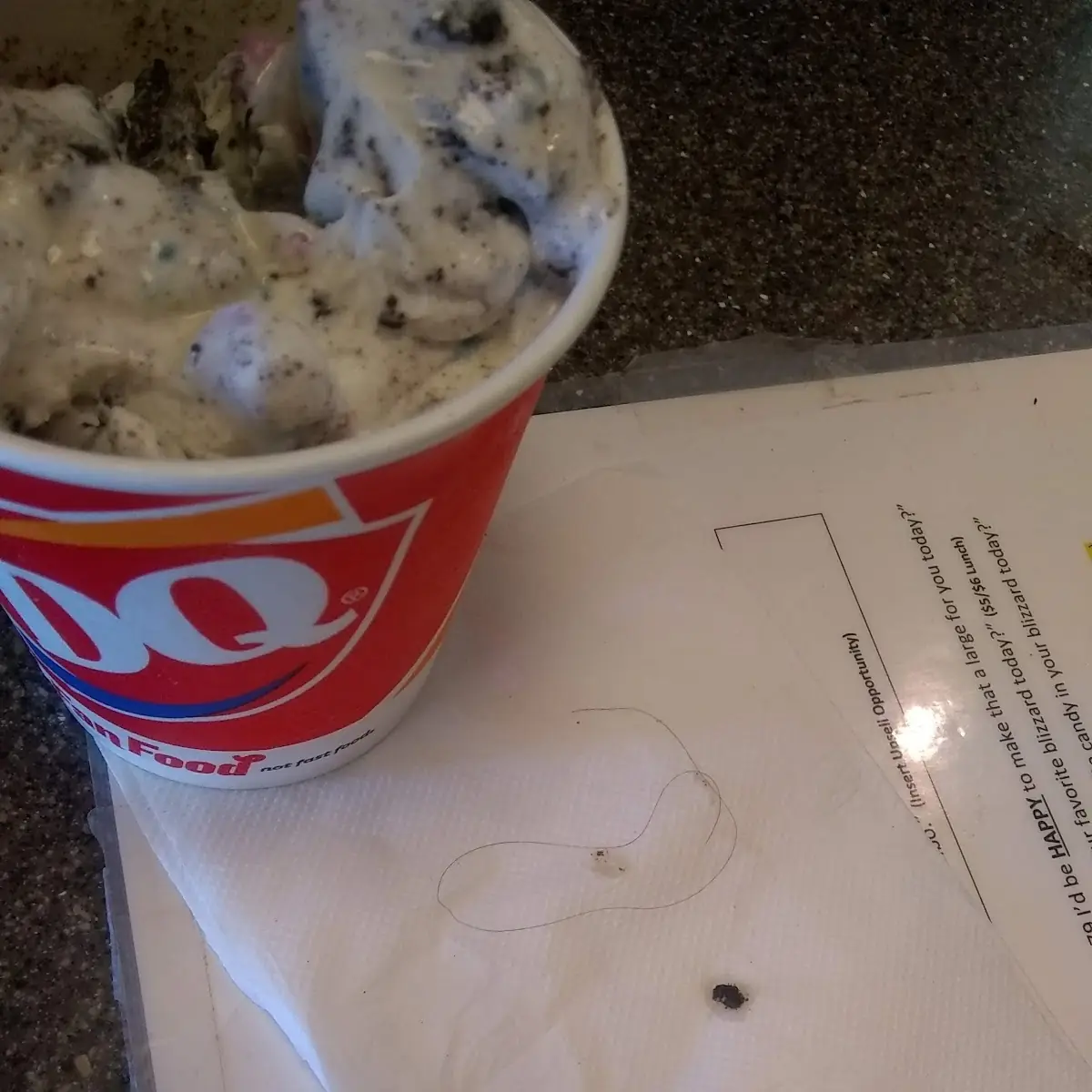 Blizzard with Hair in It