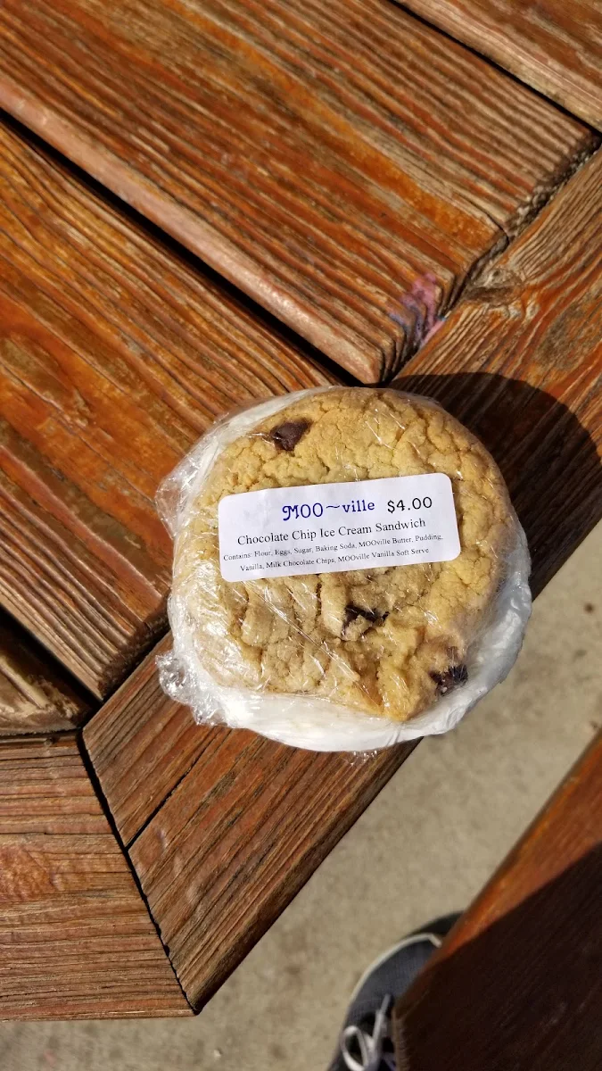 Chocolate Chip Ice Cream Sandwich