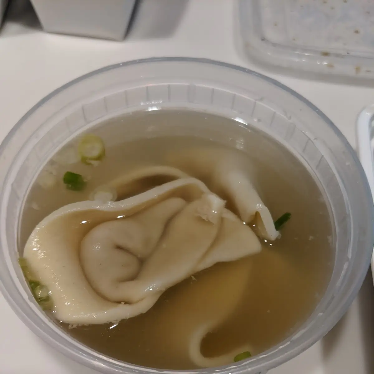 Wonton Soup