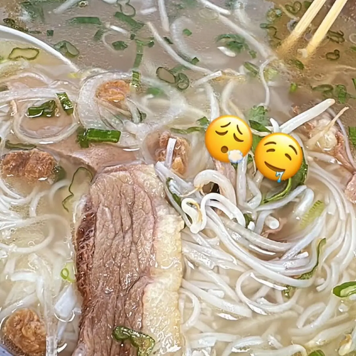 Steak and Brisket Pho
