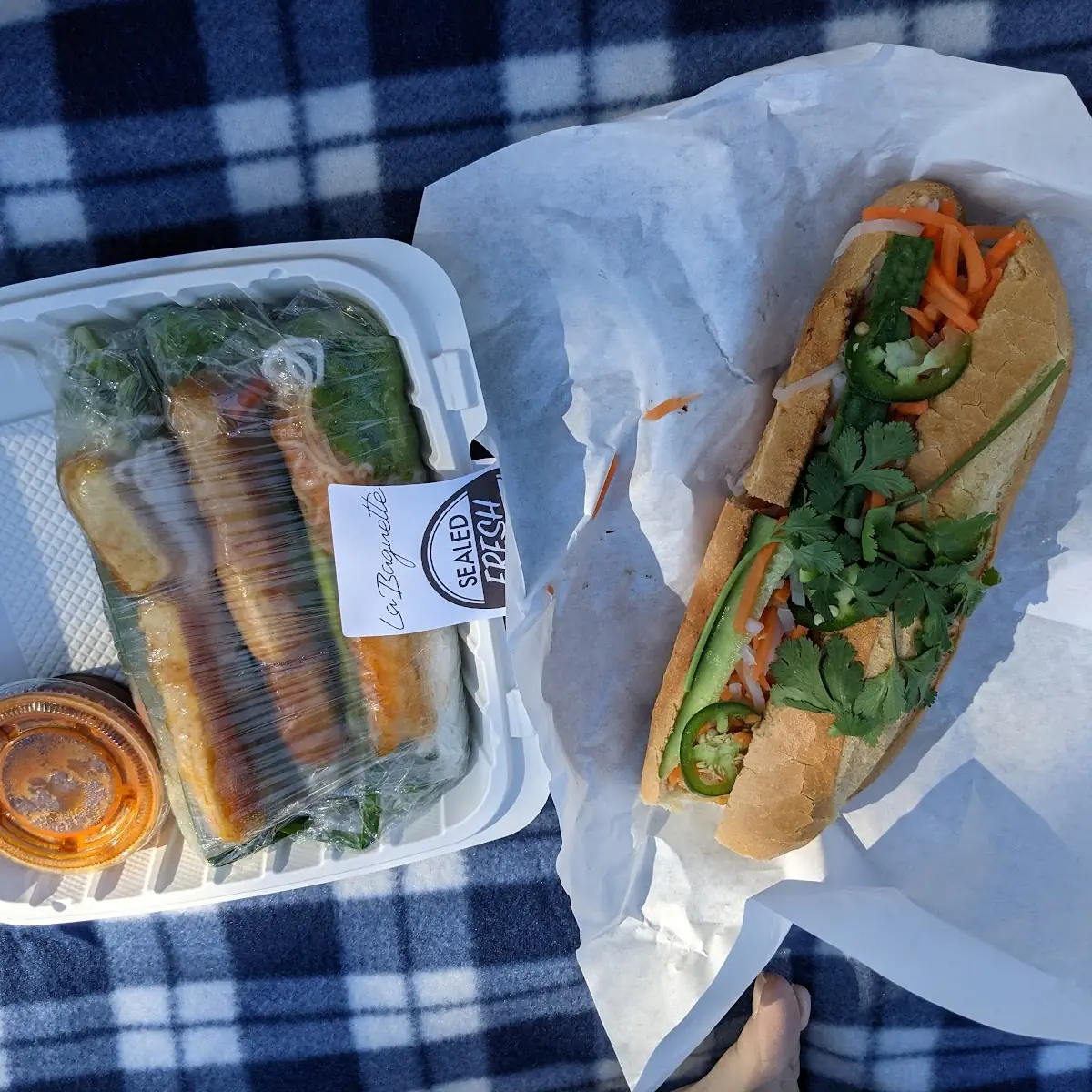 Vegan Spring Rolls and Mushroom Tofu Sandwich