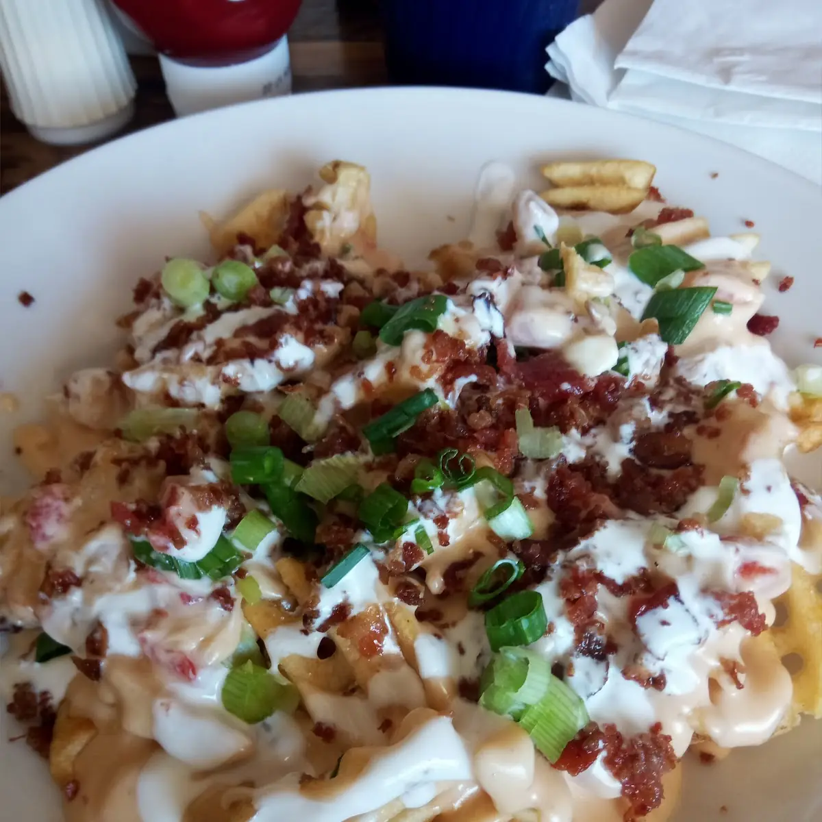 Loaded Fries