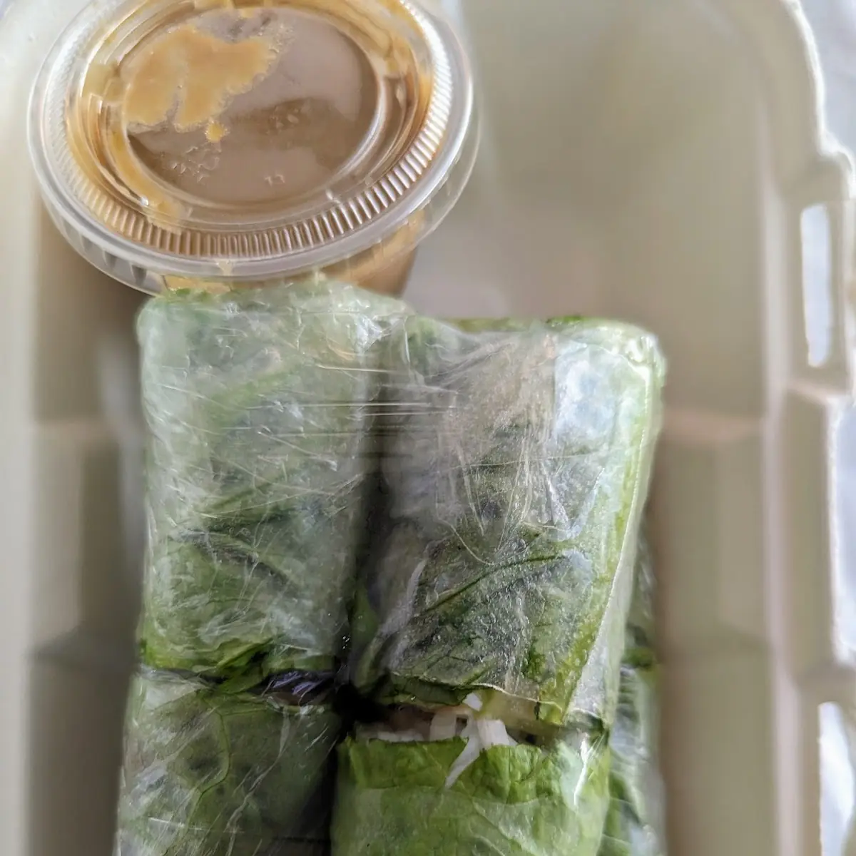 Tofu Spring Rolls