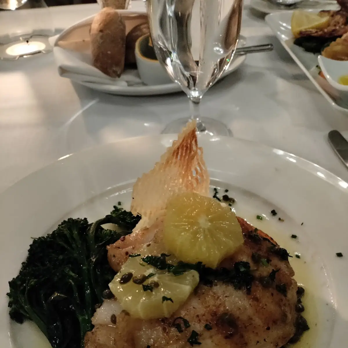 Sea Bass