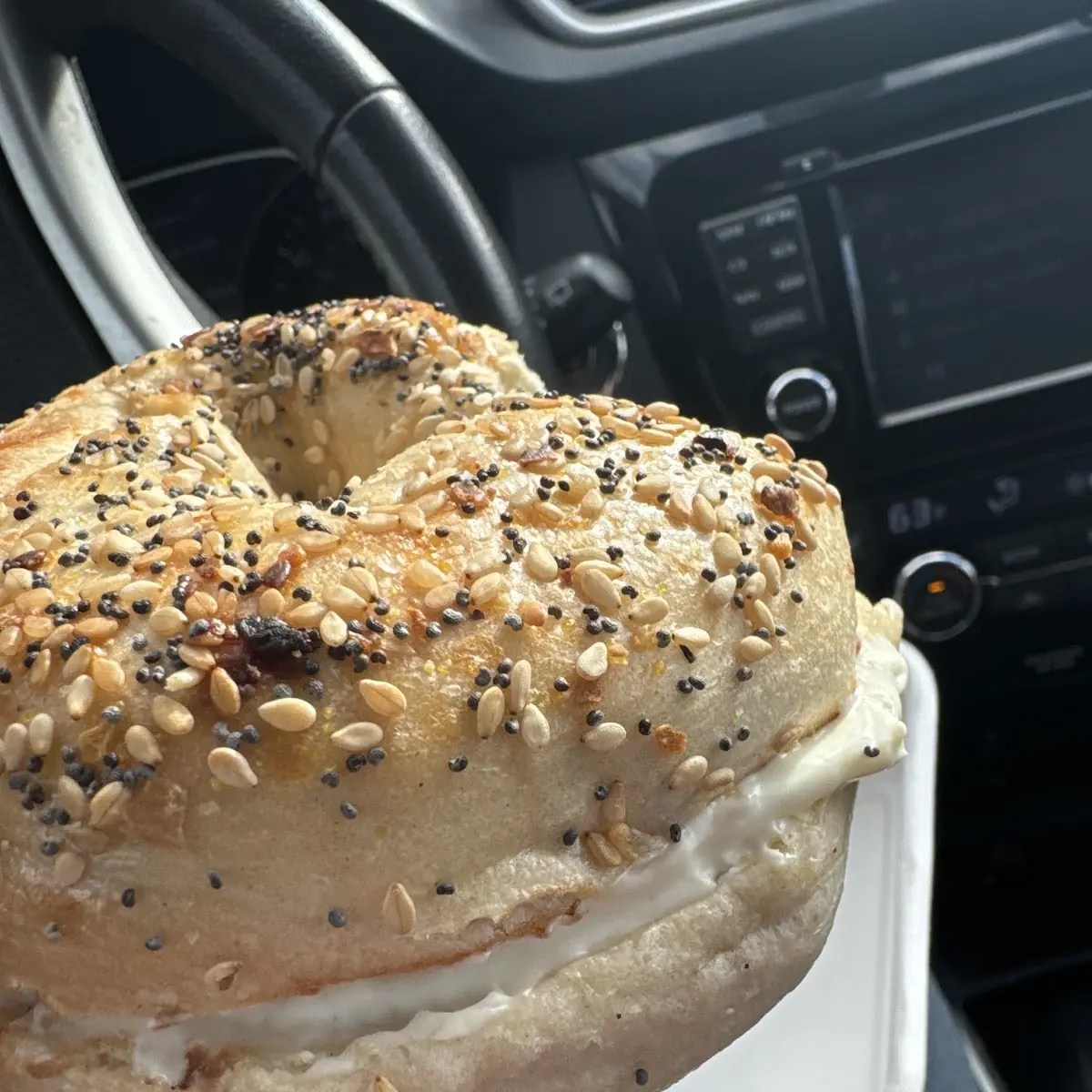Everything Bagel with Cream Cheese